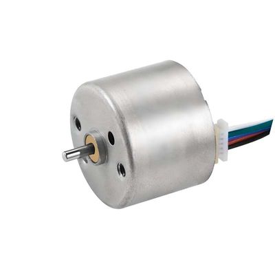 Moteur CC sans balai de 12 V 24 mm Moteur BLDC pour les boucles de cheveux et les équipements médicaux