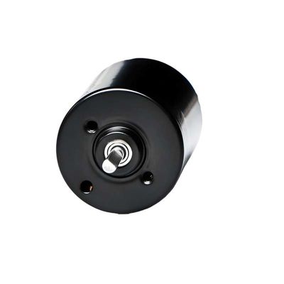 Moteur à brosses PMDC de 28 mm avec pilote intégré 5.1W 12V 24V Moteur BLDC haute puissance pour pompe à rideau de fenêtre électrique