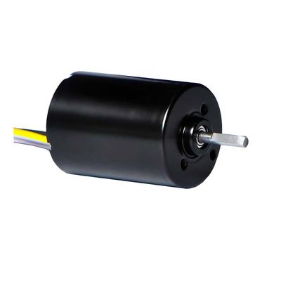 Moteur à brosses PMDC de 28 mm avec pilote intégré 5.1W 12V 24V Moteur BLDC haute puissance pour pompe à rideau de fenêtre électrique