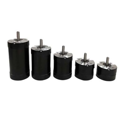 Le moteur Inrunner Micro sans balai BLDC sans balai 63 Watt personnalisable