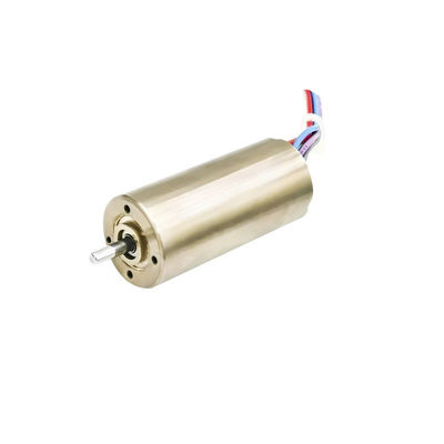 Moteur sans pinceau sans capteur de 16 mm Moteur sans fente 24 V 10 W 20 W 18900 tr / min Personnalisable