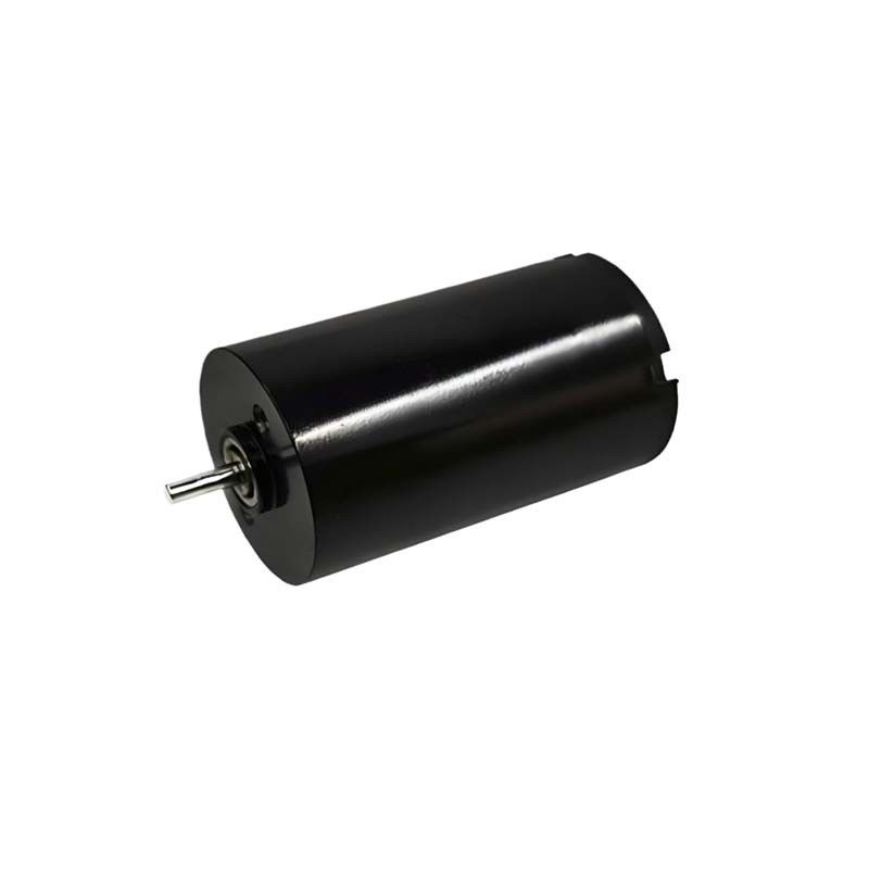 Moteur à courant continu à brossage de 16 mm 1,57 Watt 9980 tours par minute Moteur à courant continu à brossage électrique 24 V personnalisable