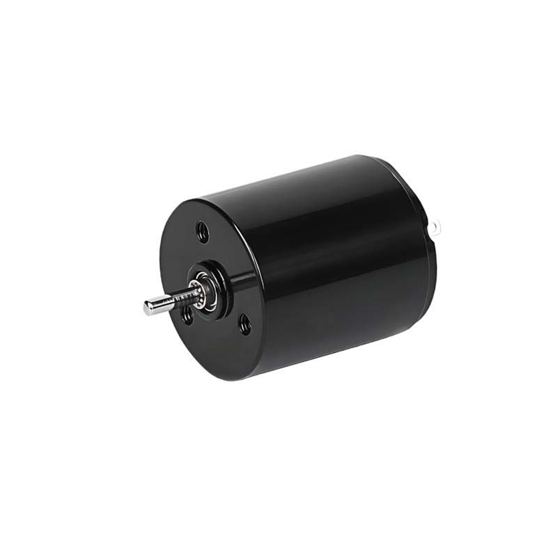 Moteur à courant continu sans cœur micro 22 mm 3,61 Watt 6900 tr/min 36 V personnalisable
