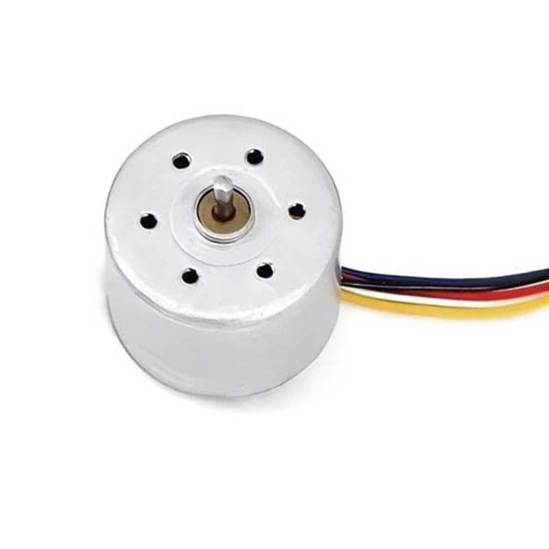 24 mm moteur électrique à courant continu sans balai 12V 24V moteur BLDC à capteur personnalisable pour tondeuse à cheveux Mini ventilateur électrique