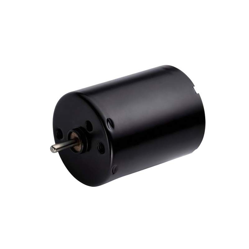 Conducteur intégré 24 mm moteur électrique sans balai 5.4W 12V 24V Haute capacité RPM