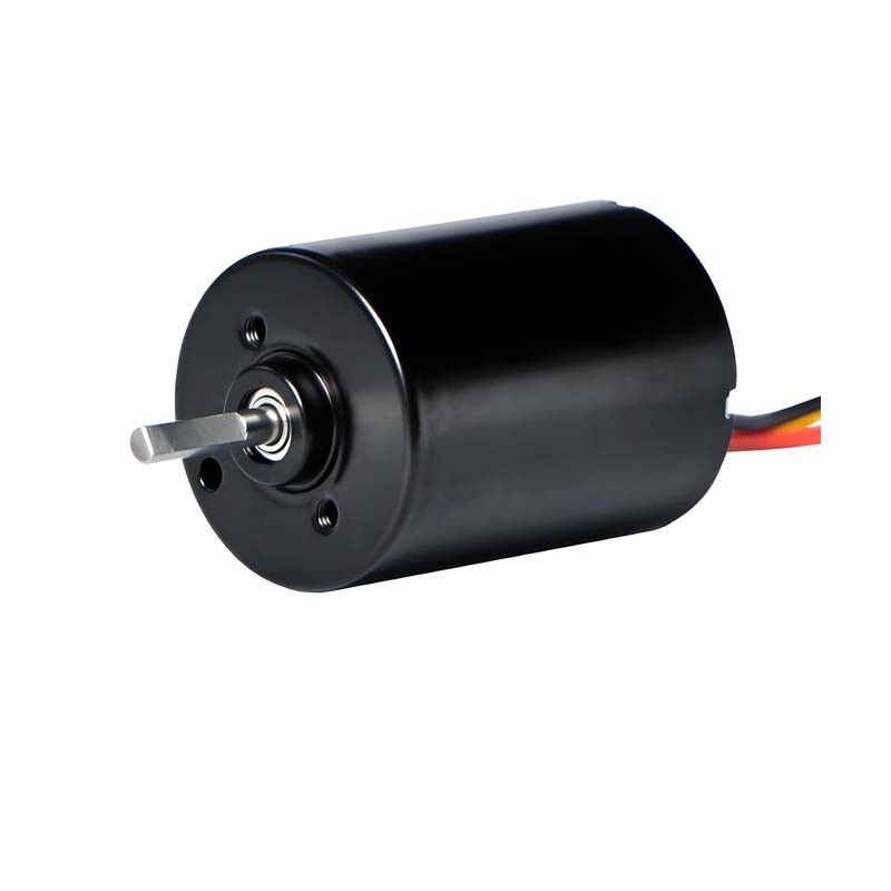 Moteur à brosses PMDC de 28 mm avec pilote intégré 5.1W 12V 24V Moteur BLDC haute puissance pour pompe à rideau de fenêtre électrique