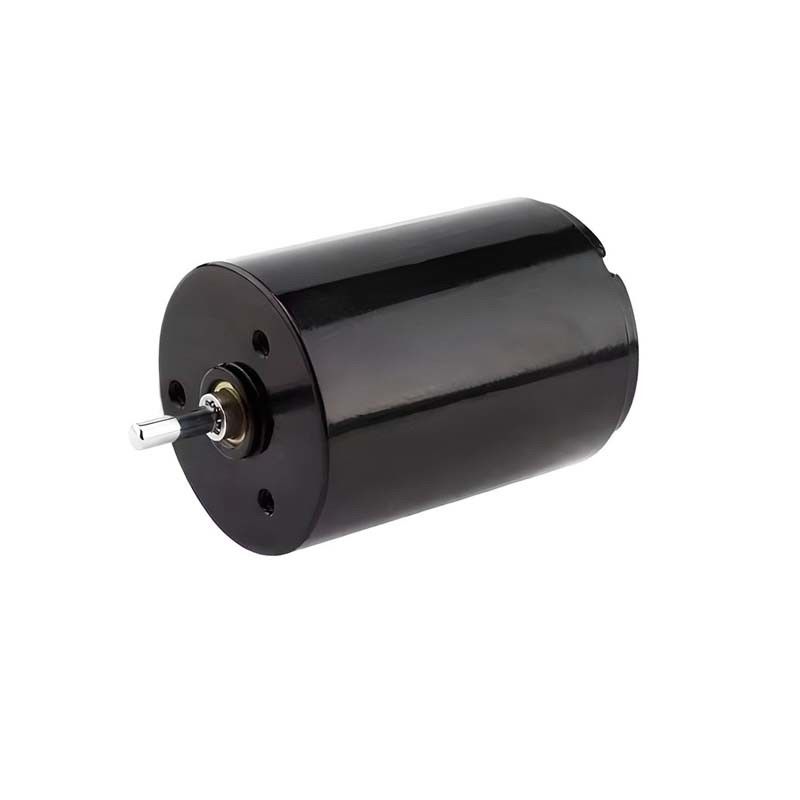 Le moteur à brosses de carbone de commande facile Micro 22 mm 3.61 Watt 6900 tr / min 36V personnalisable